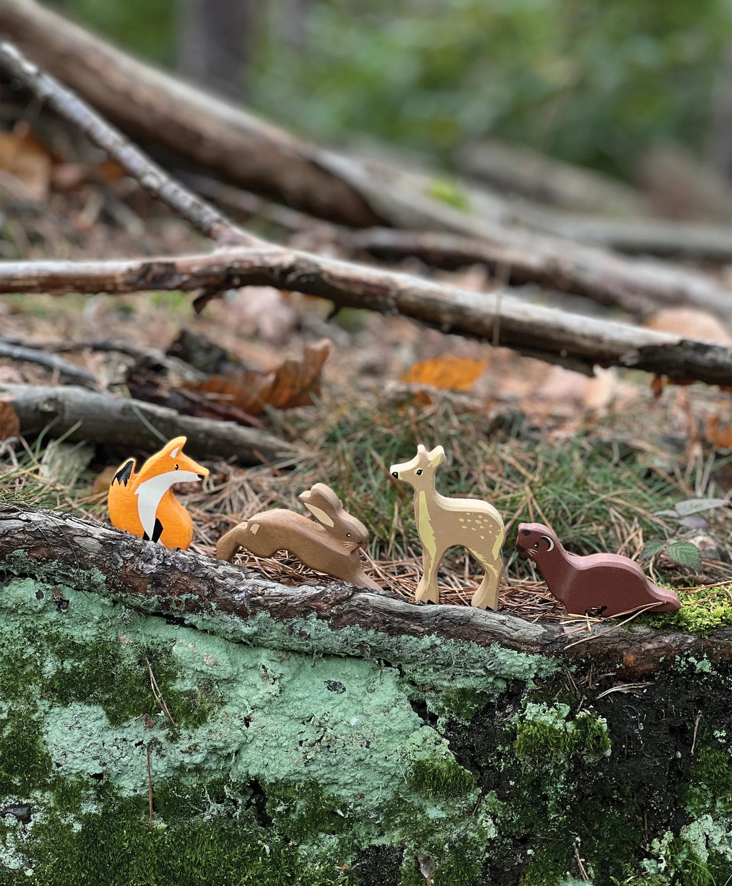 Erdei állatok polcon / Woodland Animals