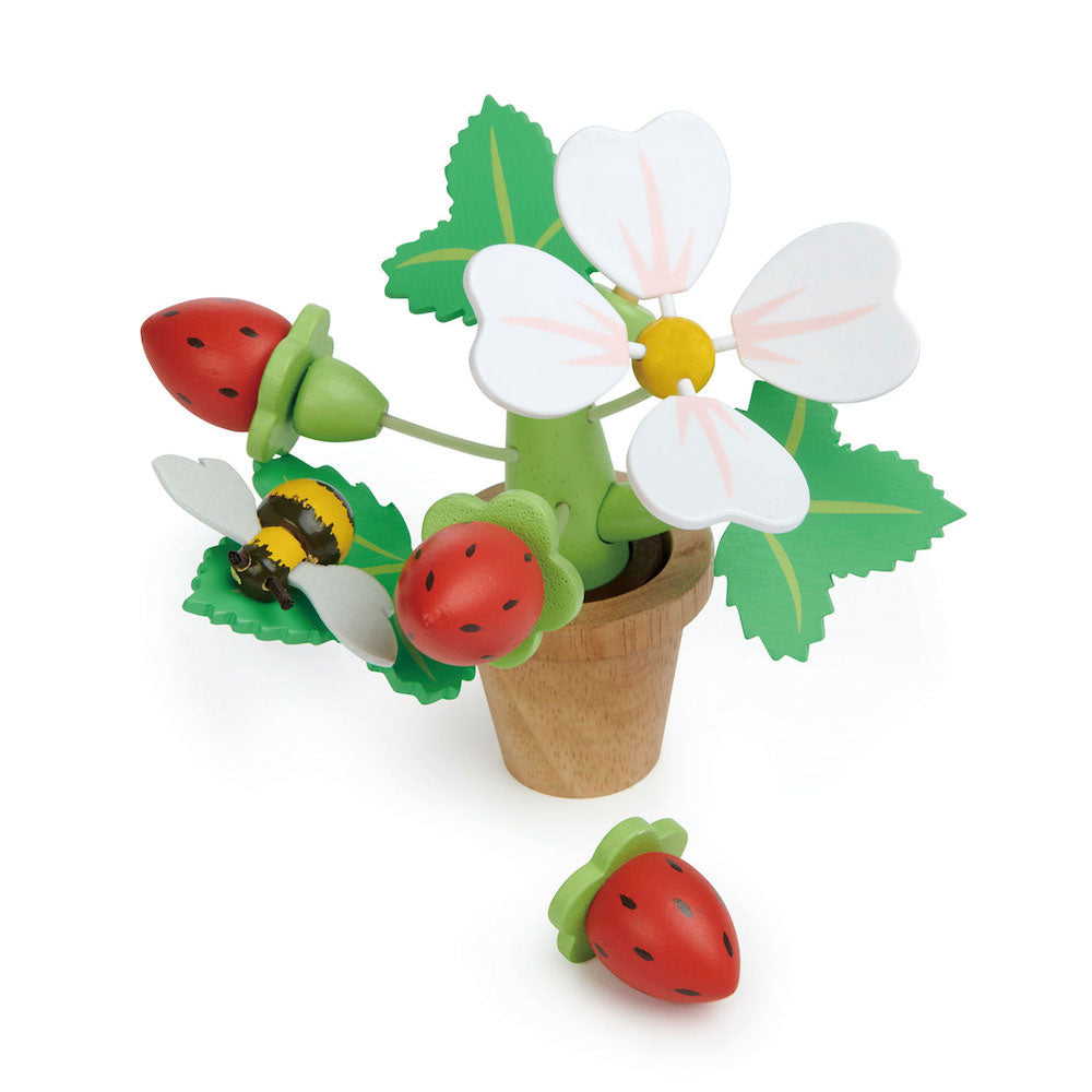 Virágzó eper - Tender Leaf Fajátékok