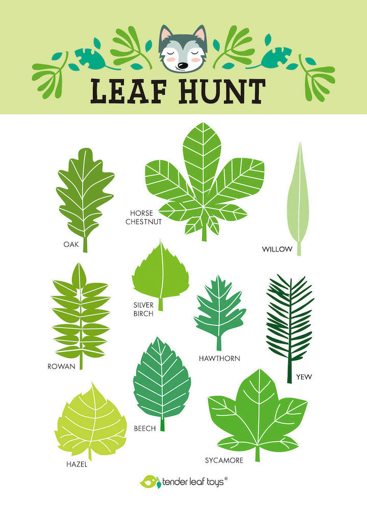 Erdei kiránduló szett - Tender Leaf Fajátékok